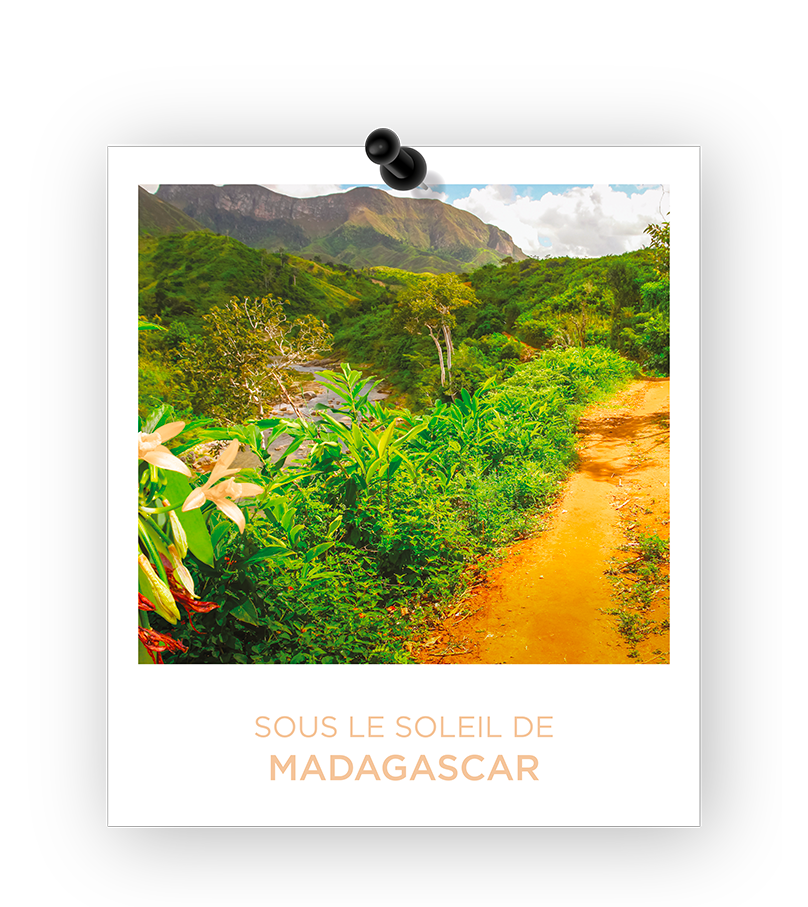 Illatosító IMAO VANILLE DE MADAGASCAR